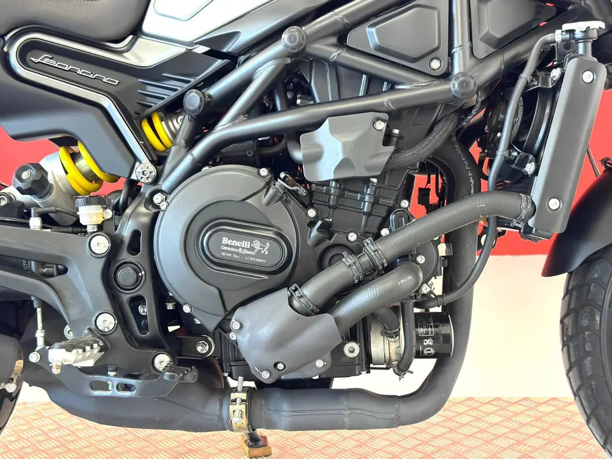 Benelli Leoncino 800 (2022 - 26) (11)