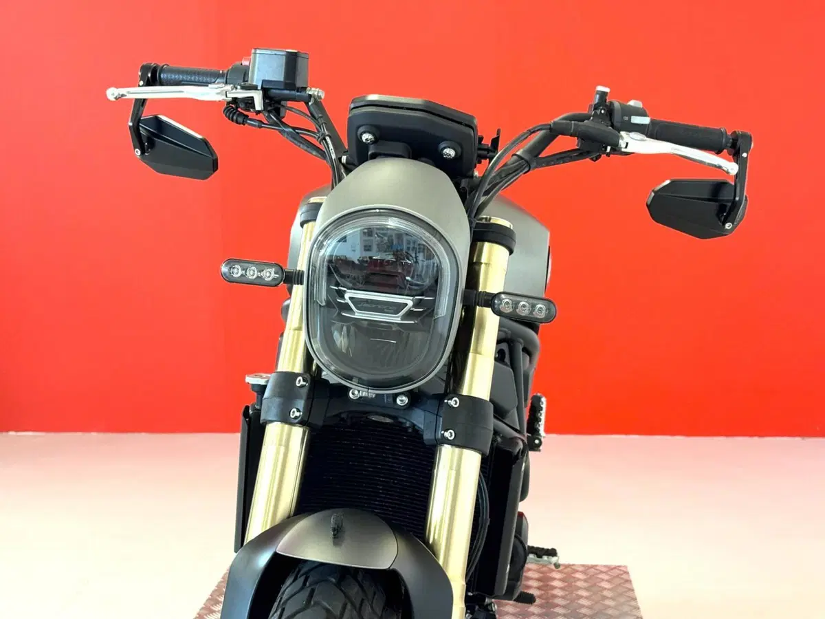 Benelli Leoncino 800 (2022 - 26) (12)