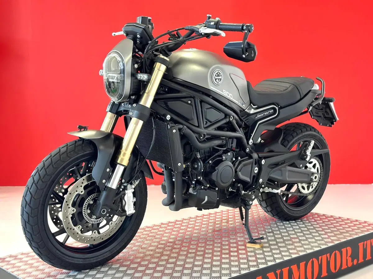Benelli Leoncino 800 (2022 - 26) (13)