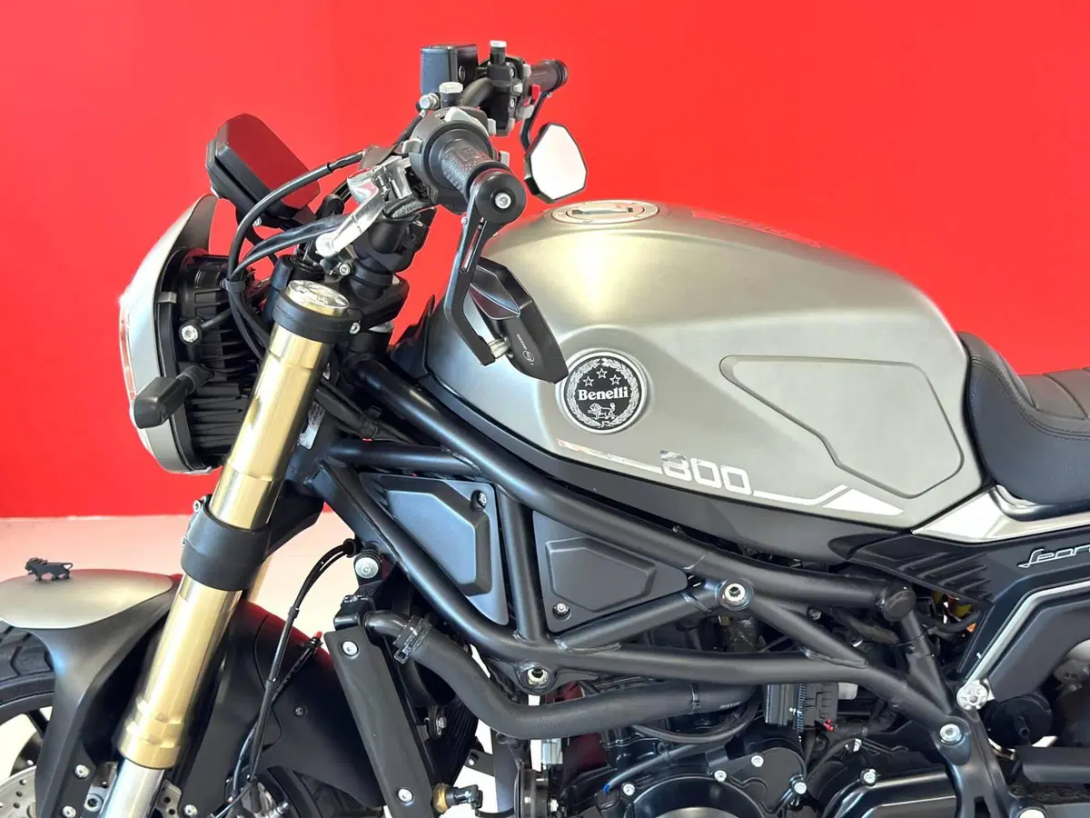 Benelli Leoncino 800 (2022 - 26) (14)