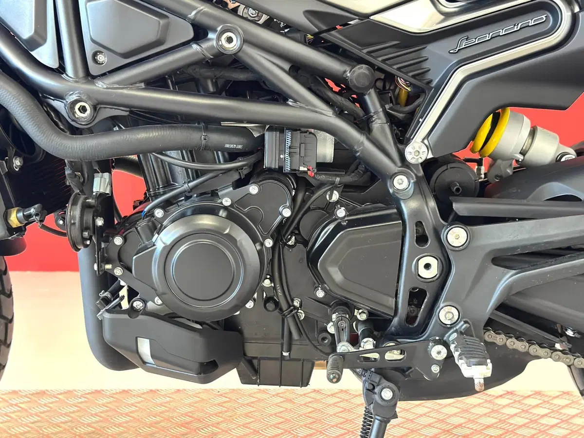 Benelli Leoncino 800 (2022 - 26) (15)