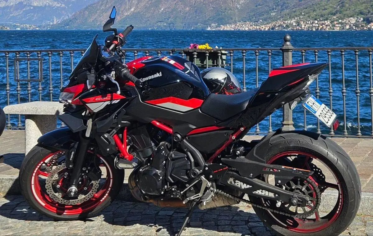 Kawasaki Z 650 (2021 - 24)
