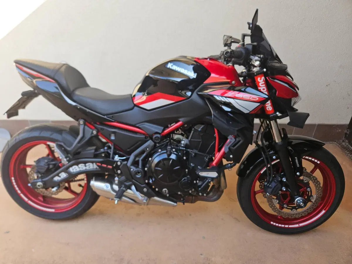 Kawasaki Z 650 (2021 - 24) (8)