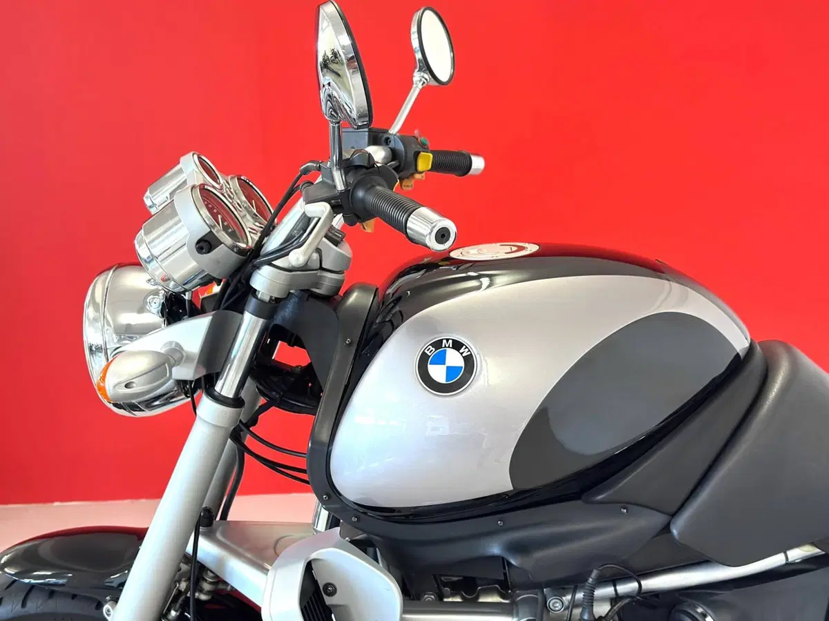 Bmw R 850 R (1994 - 02) (14)