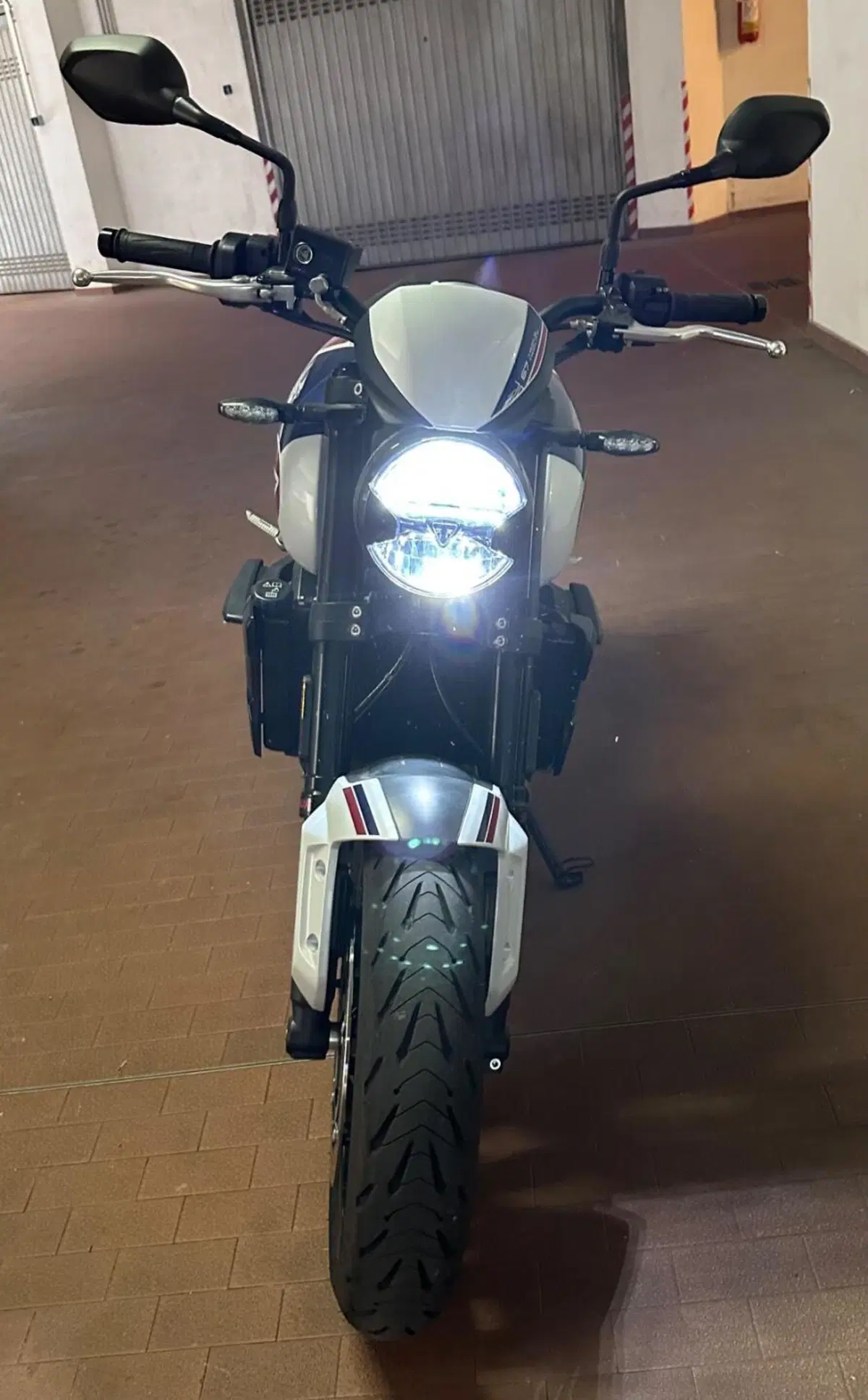 Triumph Trident 660 Triple Tribute Edition (2024) (2)