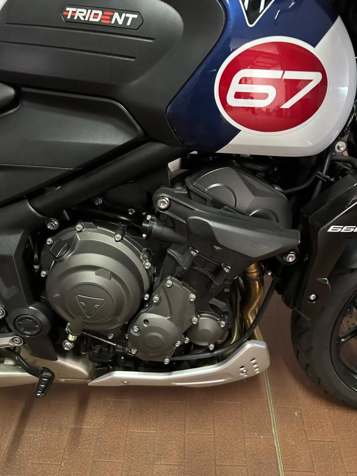 Triumph Trident 660 Triple Tribute Edition (2024) (4)