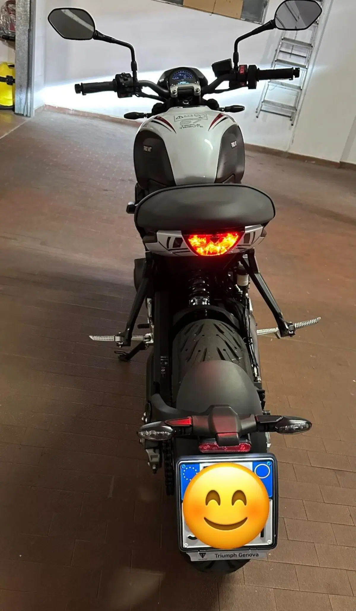 Triumph Trident 660 Triple Tribute Edition (2024) (5)