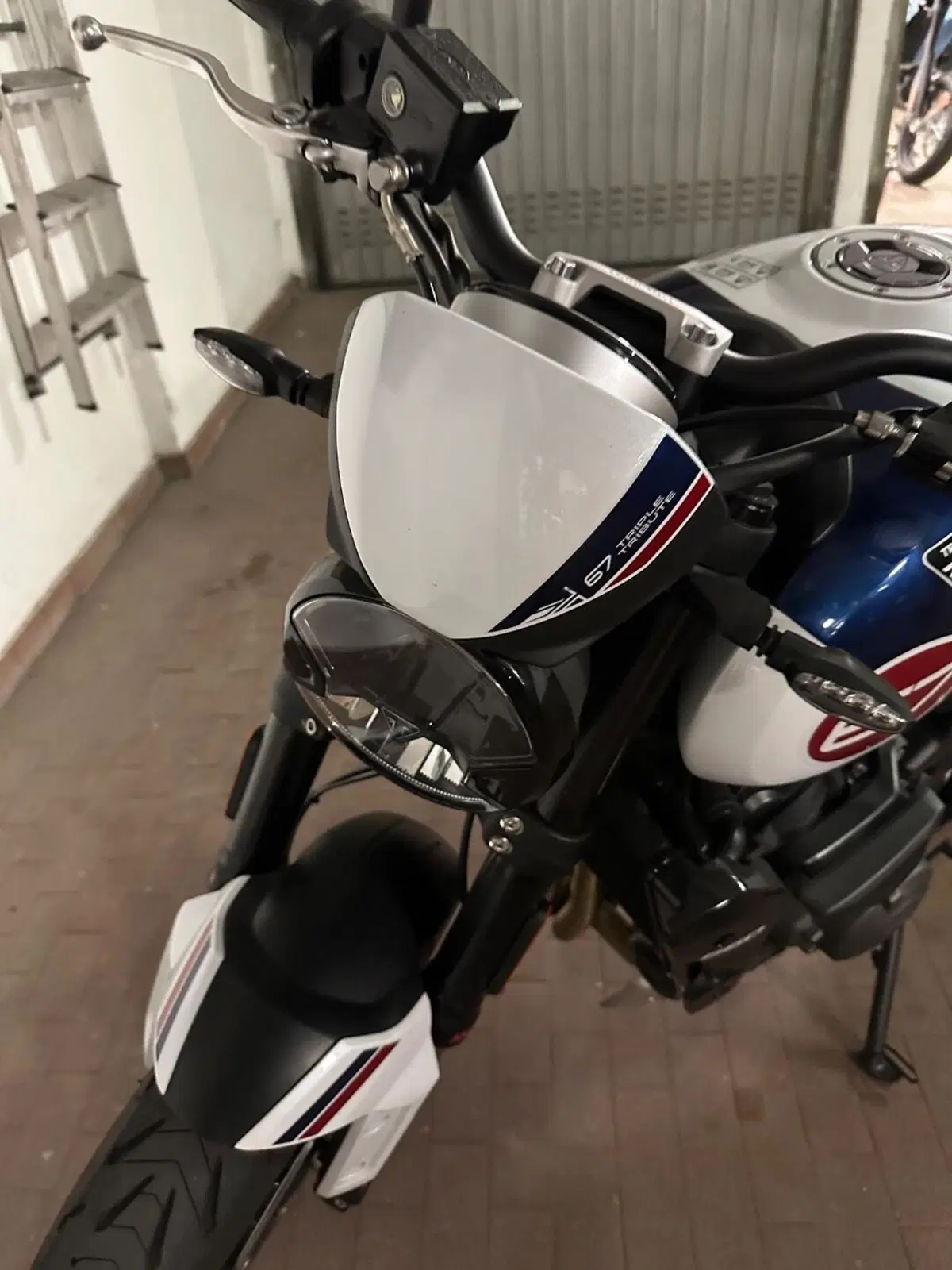 Triumph Trident 660 Triple Tribute Edition (2024) (8)