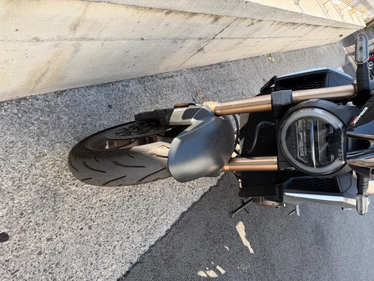 Honda CB 650 R (2019 - 20) (8)