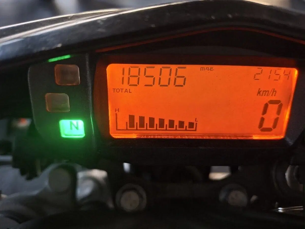 Betamotor RR 125 4T Motard (2006 - 11) (2)