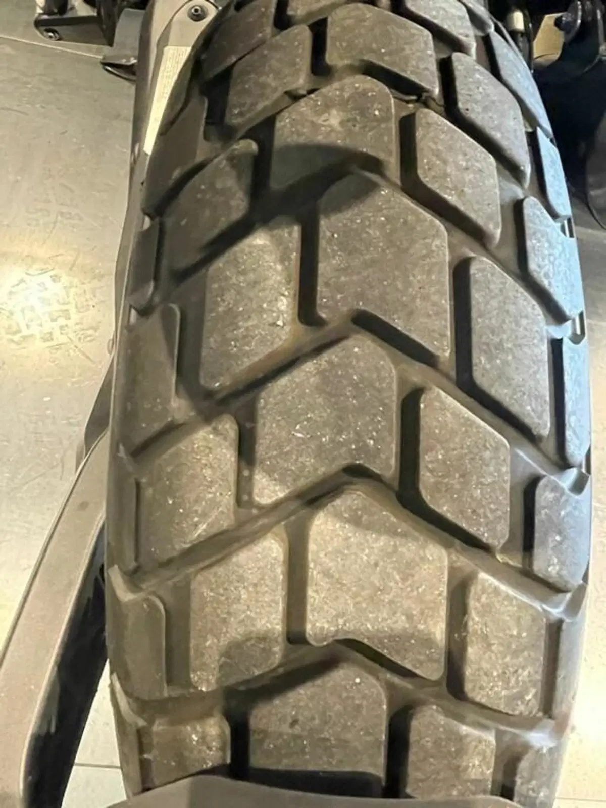 Ducati Scrambler 800 Icon (2023 - 24) (12)