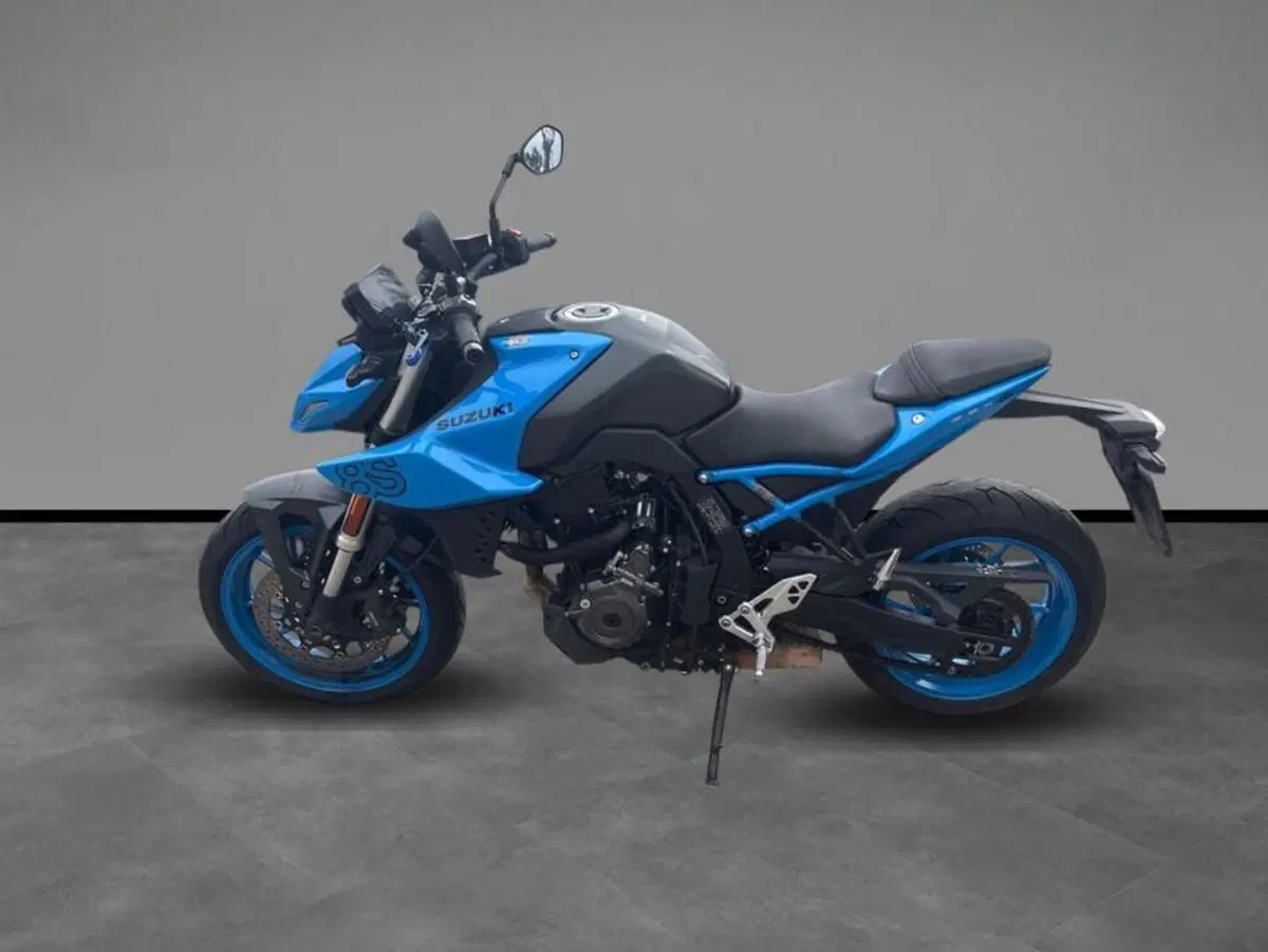Suzuki GSX-8S (2023 - 24) (2)