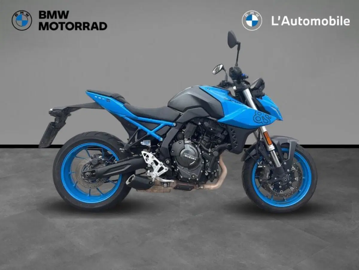 Suzuki GSX-8S (2023 - 24)