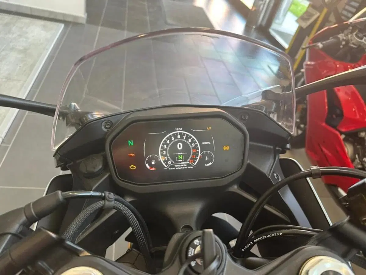 Benelli Tornado 550 (2025 - 26) (3)