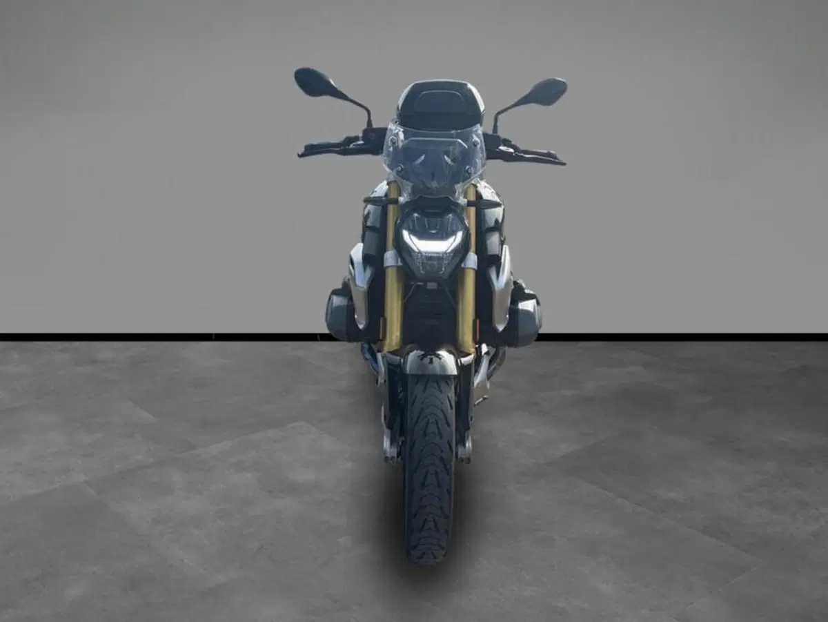 Bmw R 1250 R (2021 - 25) (3)