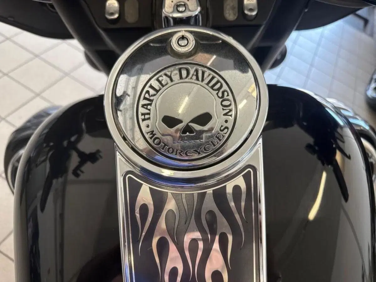 Harley-Davidson 1450 Electra Glide Standard (2002 - 09) - FLHTC (11)