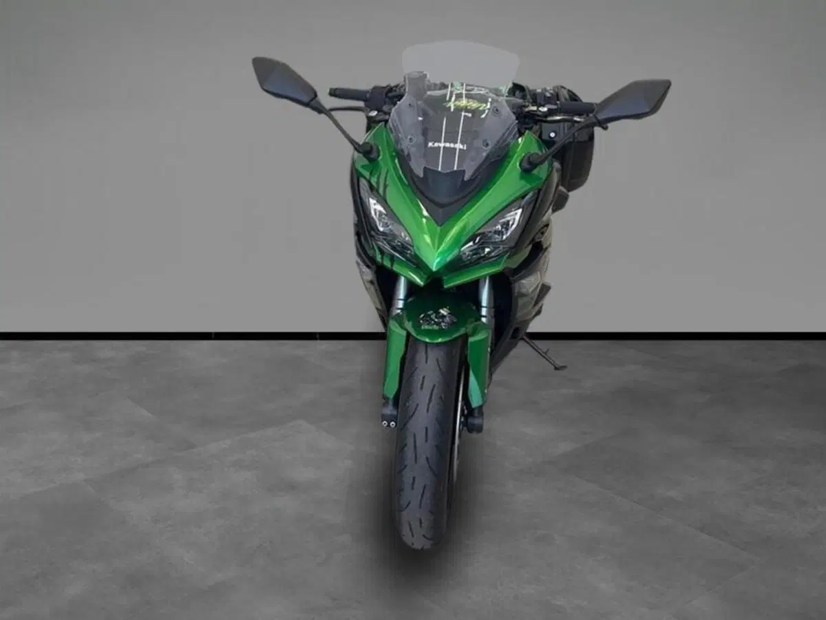 Kawasaki Ninja 1000 SX Performance (2021 - 24) (3)