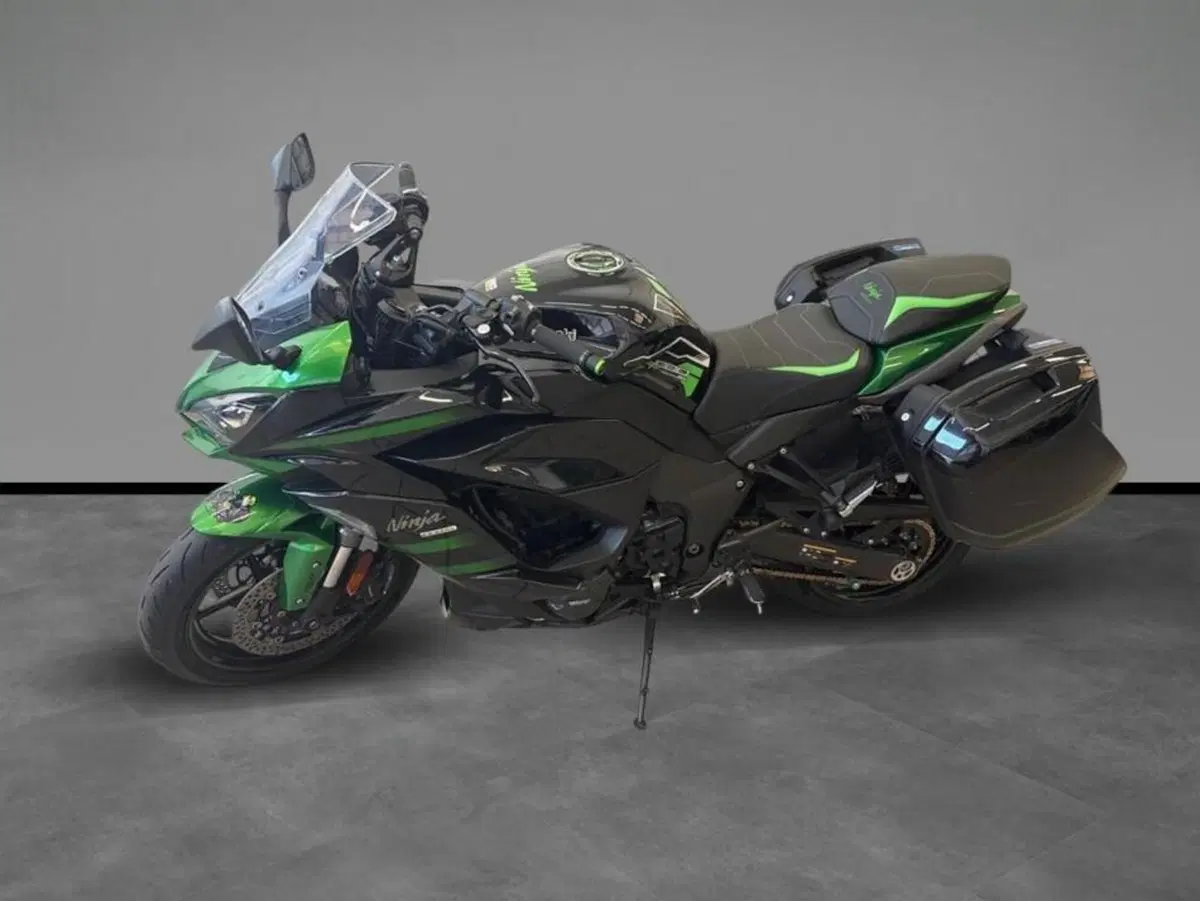 Kawasaki Ninja 1000 SX Performance (2021 - 24) (2)