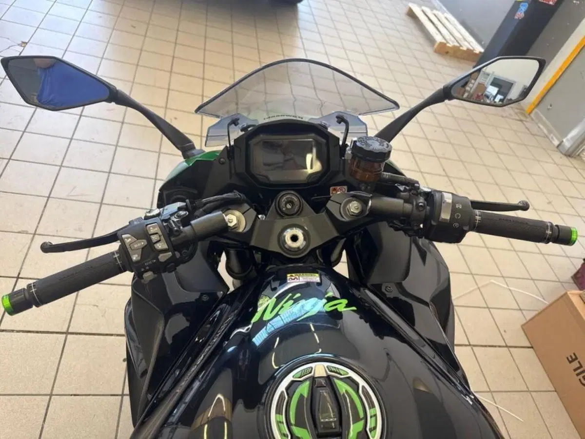 Kawasaki Ninja 1000 SX Performance (2021 - 24) (6)