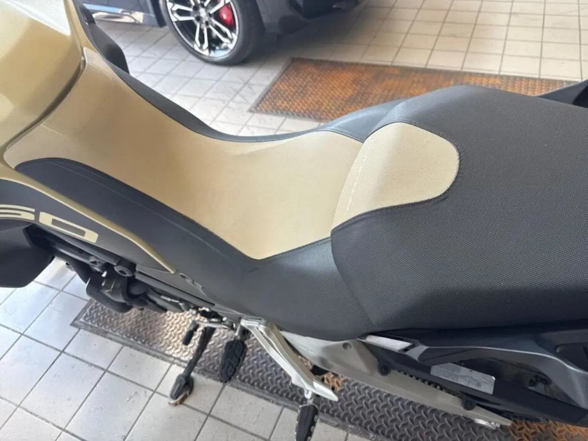 Ducati Multistrada 1260 Enduro (2019 - 21) (4)