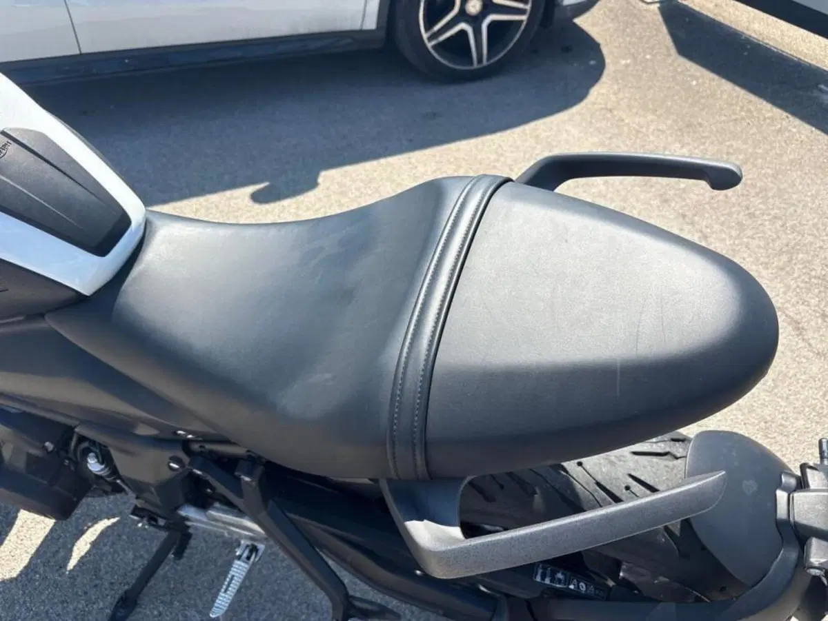 Triumph Trident 660 (2021 - 24) (4)
