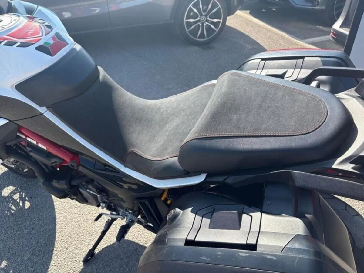 Ducati Multistrada 1260 Pikes Peak (2018 - 20) (4)