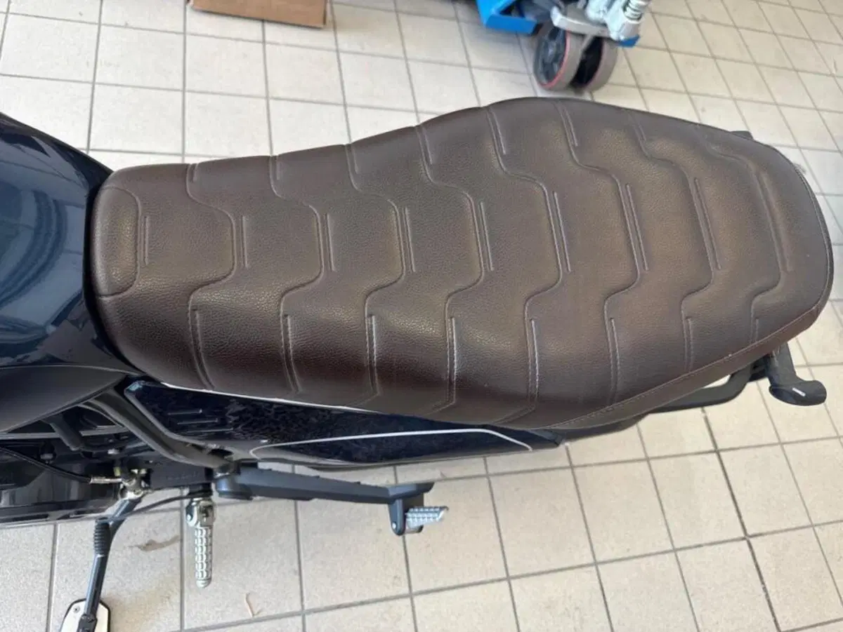 Ducati Scrambler 800 Nightshift (2023 - 24) (4)
