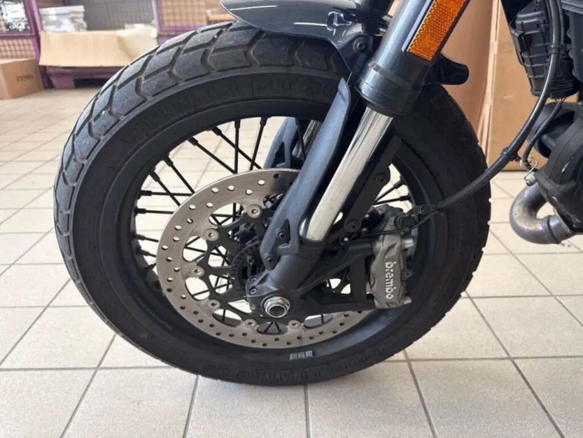 Ducati Scrambler 800 Nightshift (2023 - 24) (7)