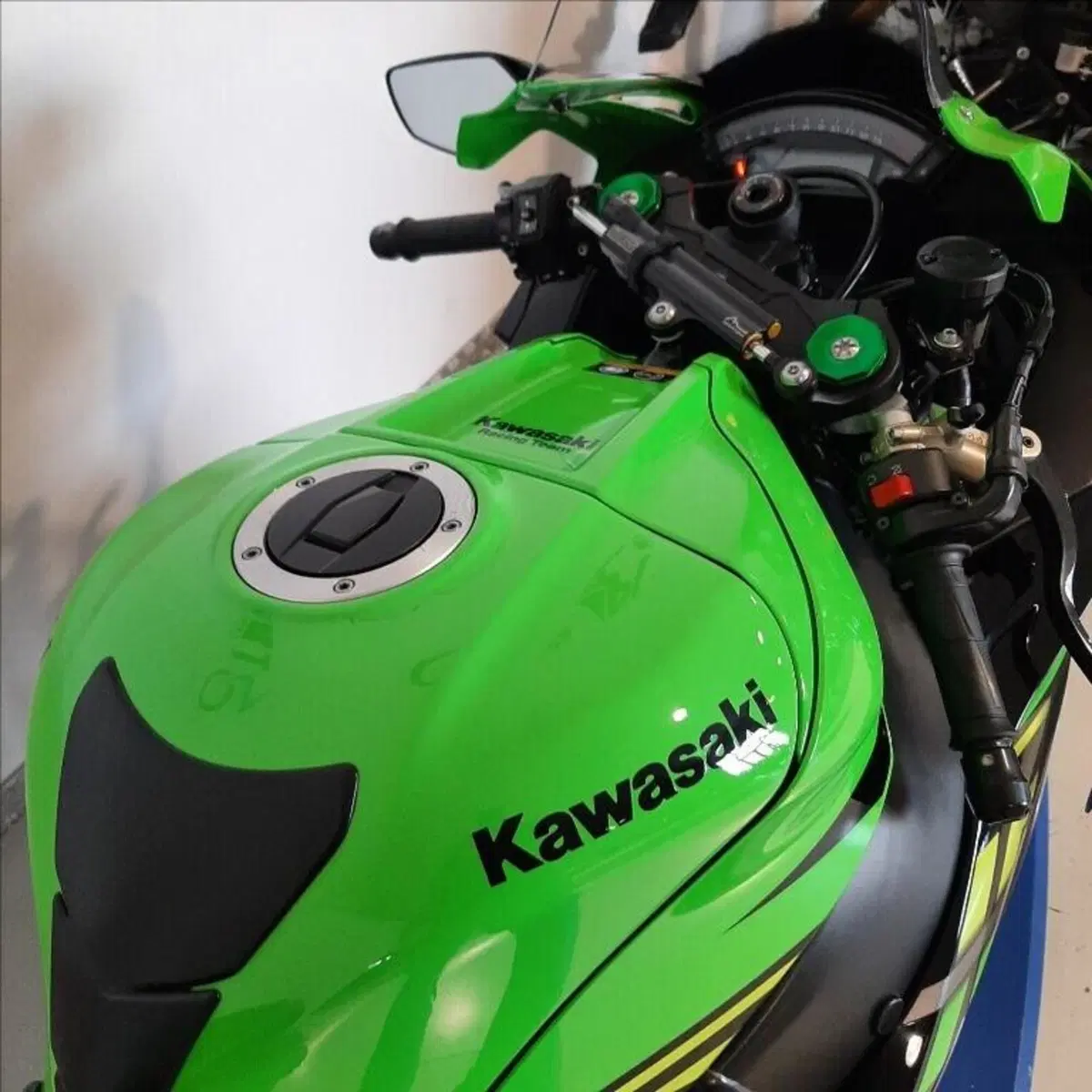 Kawasaki Ninja 1000 ZX-10R KRT Replica (2017 - 18) (11)