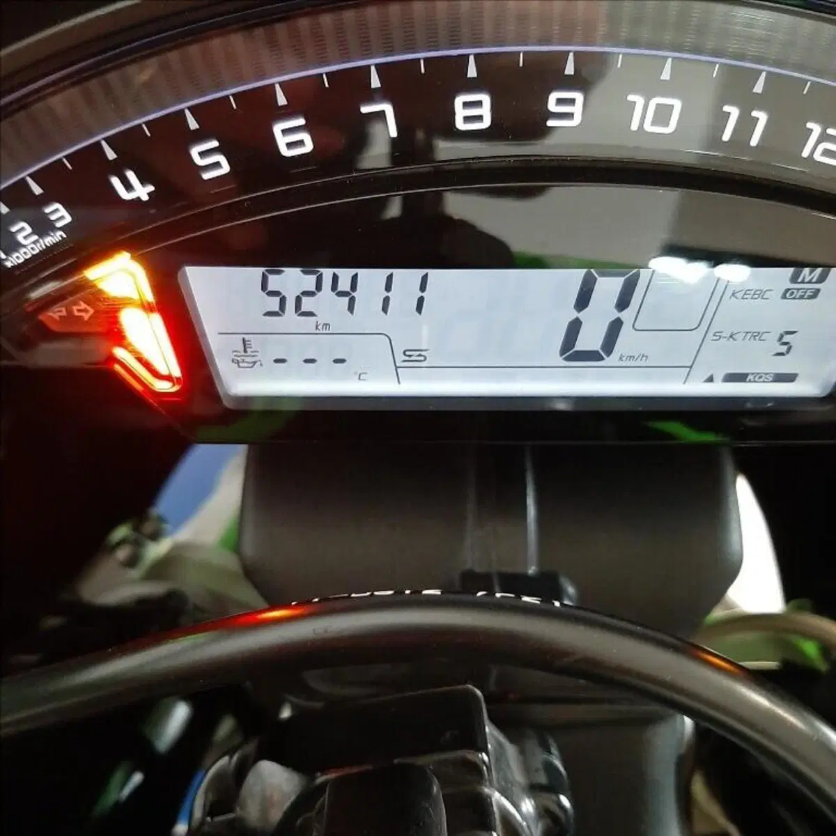 Kawasaki Ninja 1000 ZX-10R KRT Replica (2017 - 18) (14)