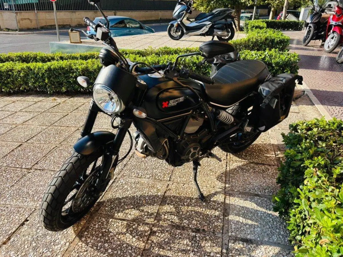 Ducati Scrambler 800 Icon (2015 - 16) (5)