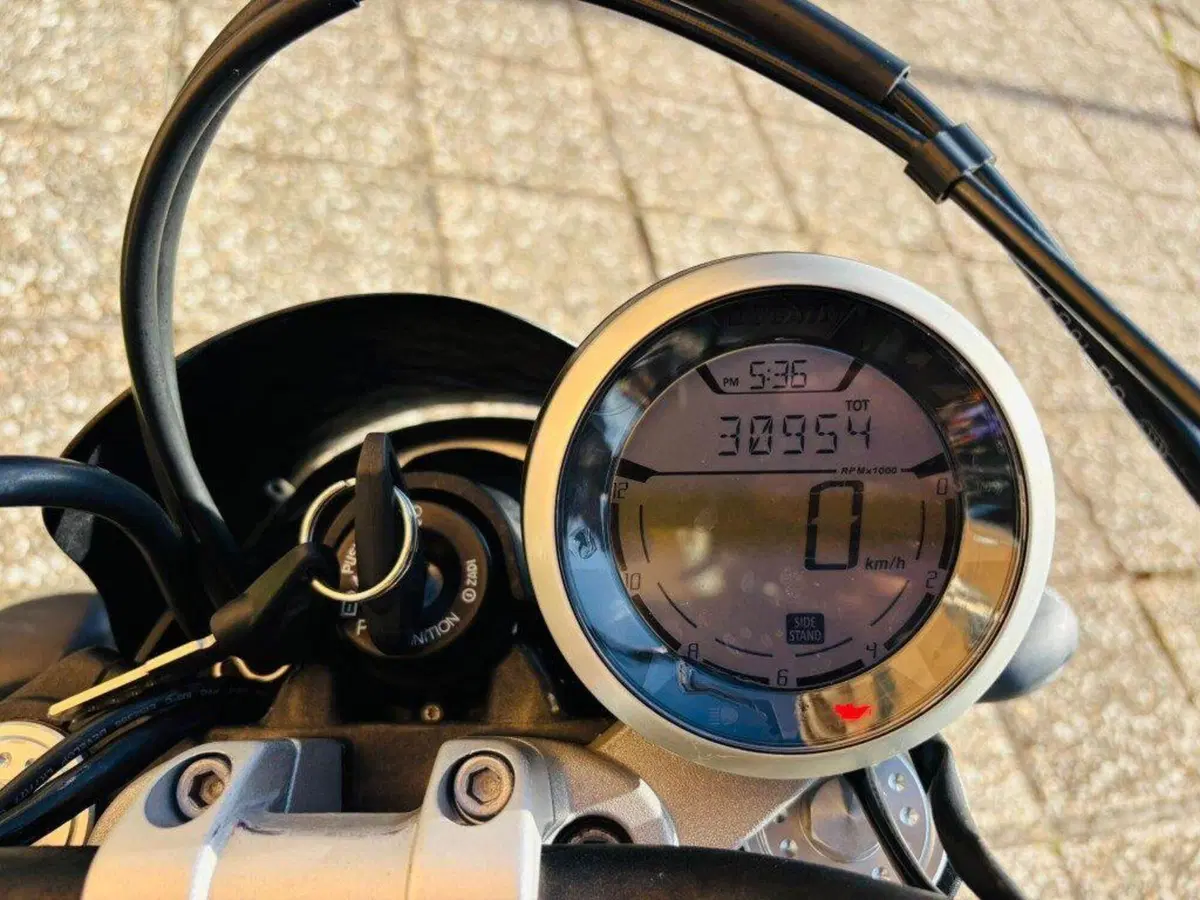 Ducati Scrambler 800 Icon (2015 - 16) (7)
