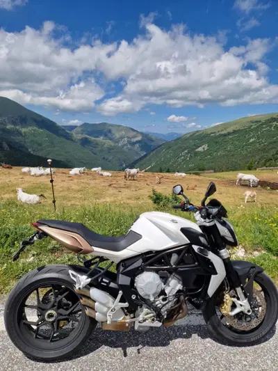 MV Agusta Brutale 675 EAS (2011 - 14) usata