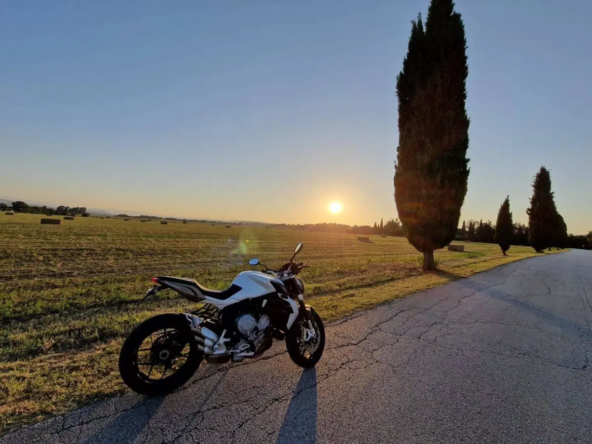 MV Agusta Brutale 675 EAS (2011 - 14) (4)