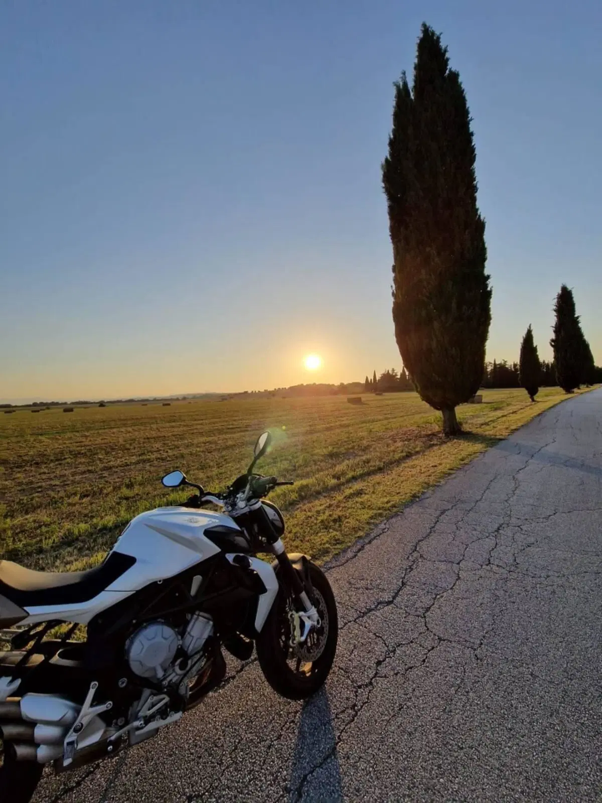 MV Agusta Brutale 675 EAS (2011 - 14) (7)