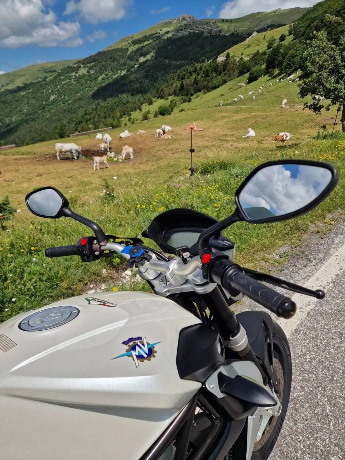 MV Agusta Brutale 675 EAS (2011 - 14) (8)