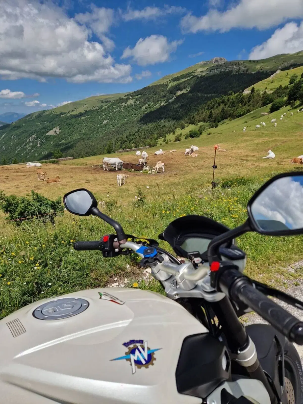 MV Agusta Brutale 675 EAS (2011 - 14) (9)