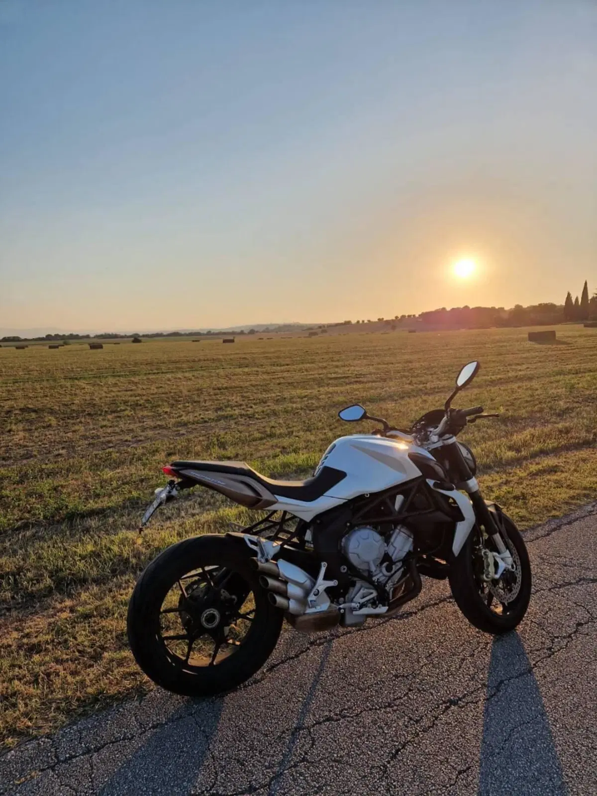 MV Agusta Brutale 675 EAS (2011 - 14) (11)