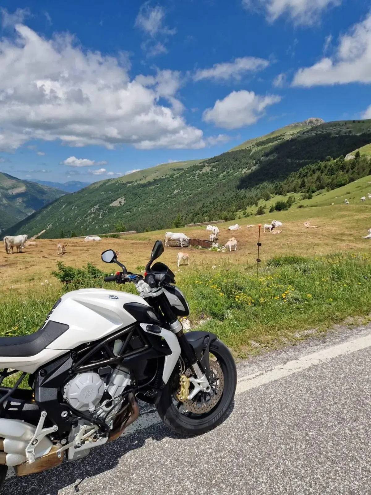 MV Agusta Brutale 675 EAS (2011 - 14) (12)