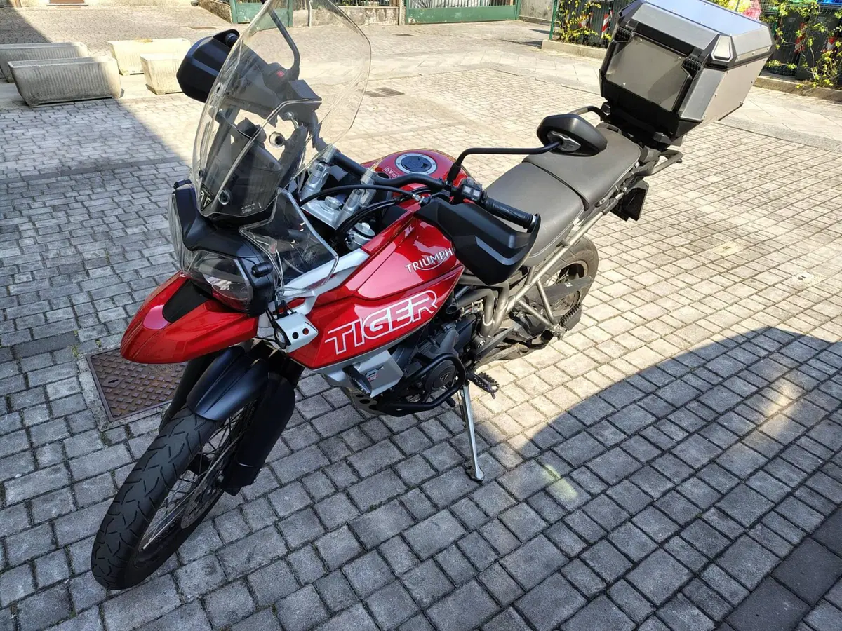 Triumph Tiger 800 XCa (2018 - 20) (2)
