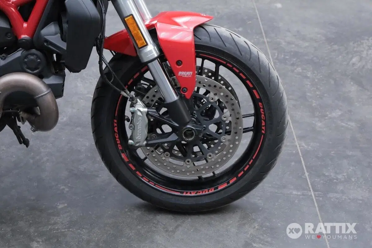 Ducati Monster 821 ABS (2014 - 17) (9)