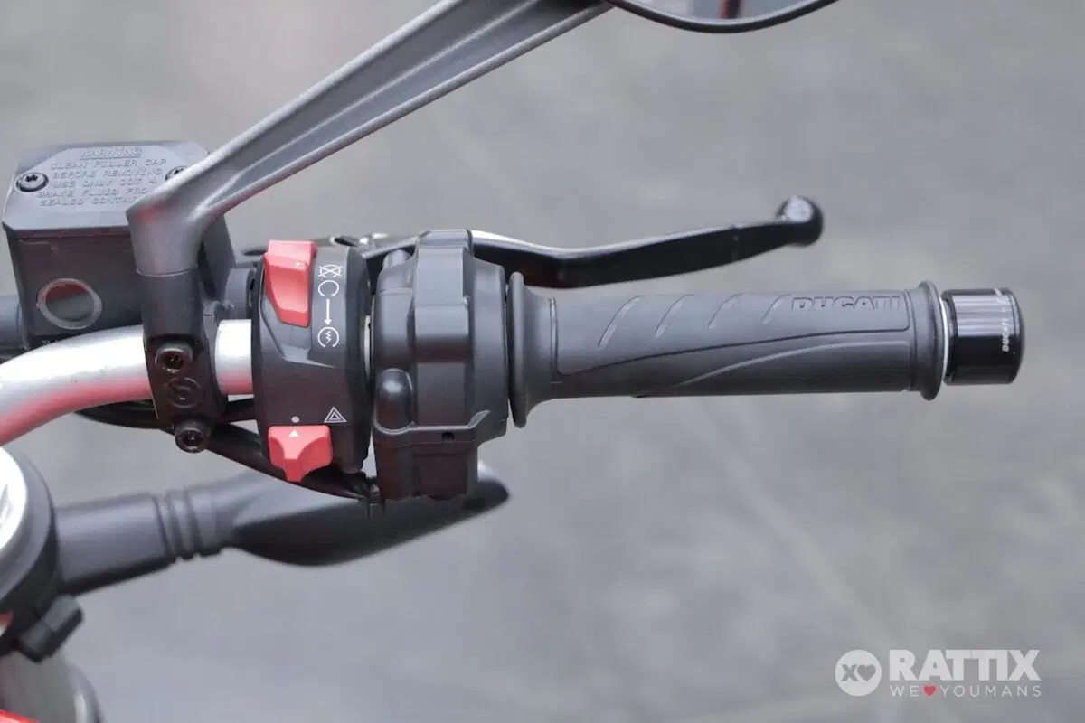 Ducati Monster 821 ABS (2014 - 17) (12)