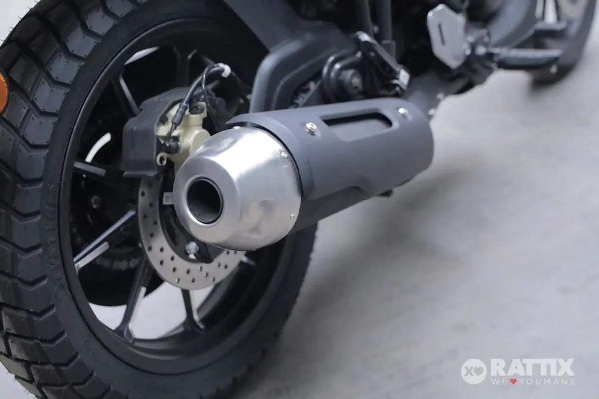TVS Motor Ronin 250 (2024 - 26) (7)