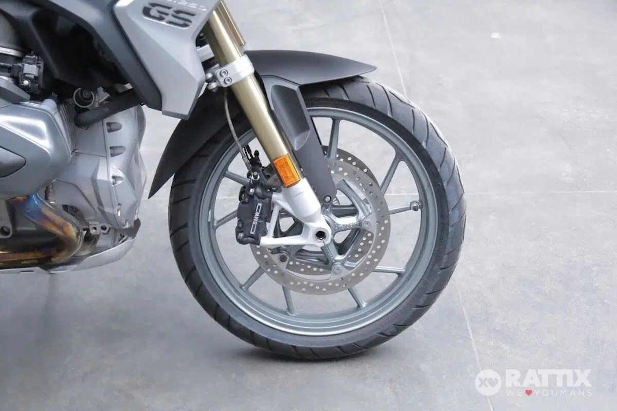 Bmw R 1250 GS (2019 - 20) (9)