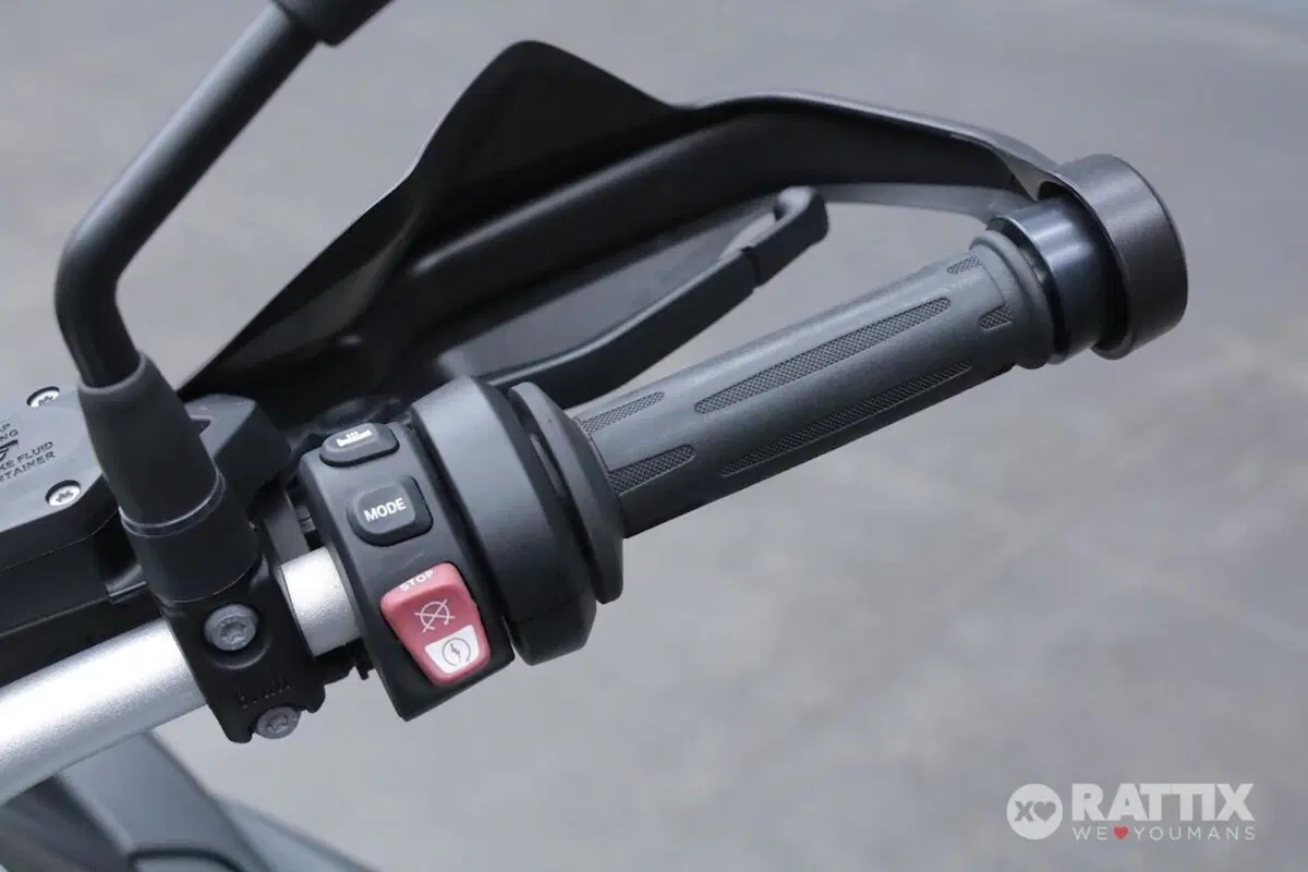 Bmw R 1250 GS (2019 - 20) (12)