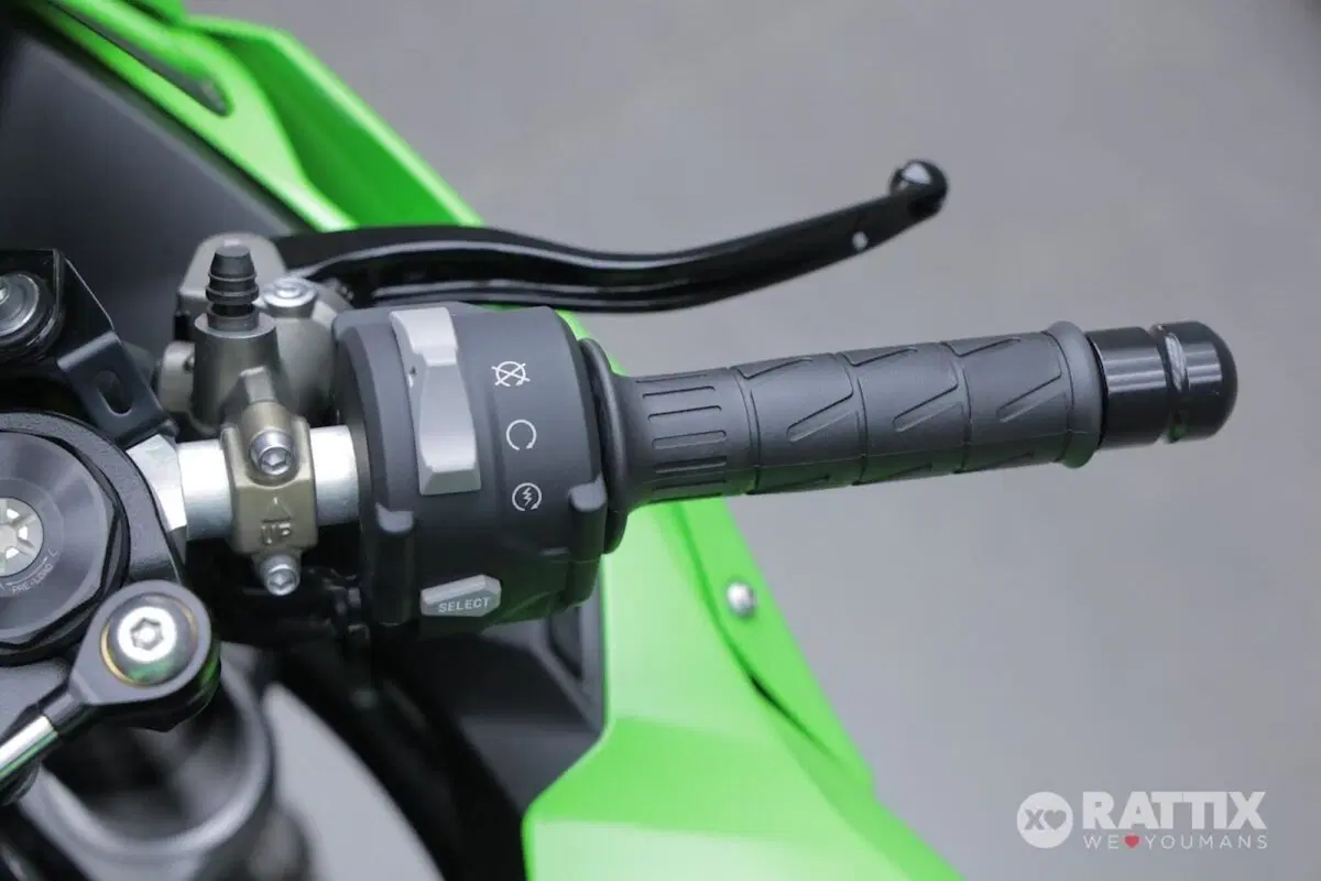 Kawasaki Ninja 1000 ZX-10R (2021 - 25) (12)