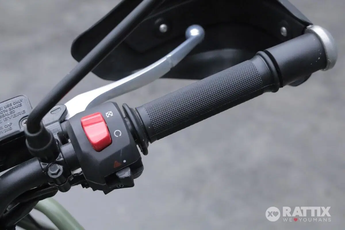Royal Enfield Himalayan 411 (2021 - 24) (12)