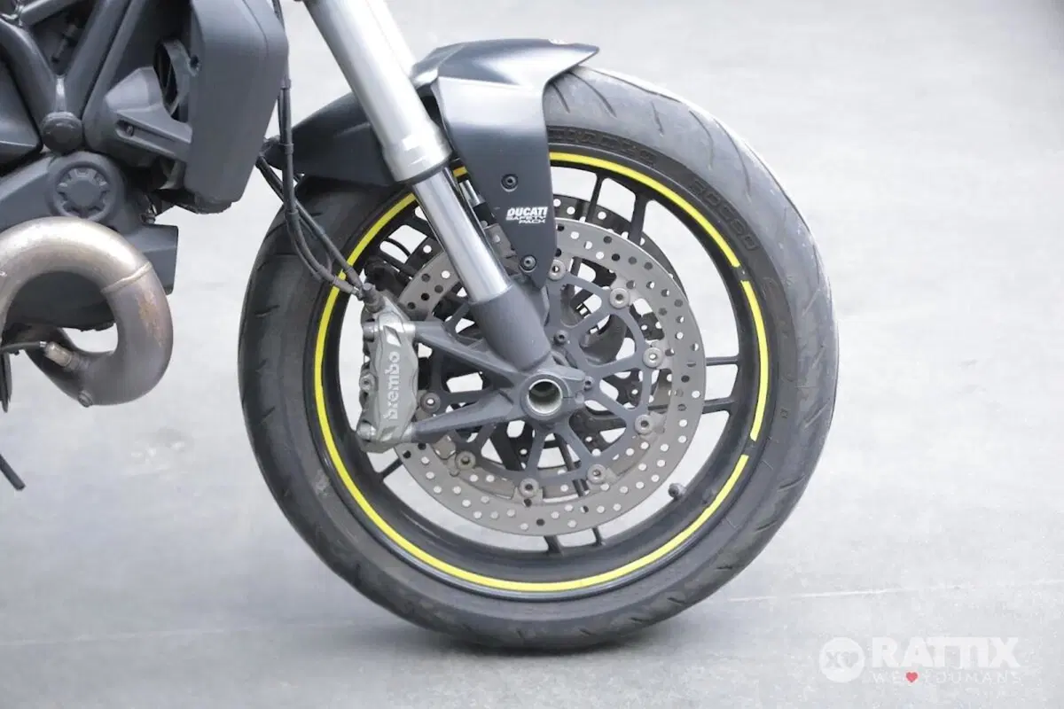 Ducati Monster 821 Dark ABS (2014 - 16) (9)