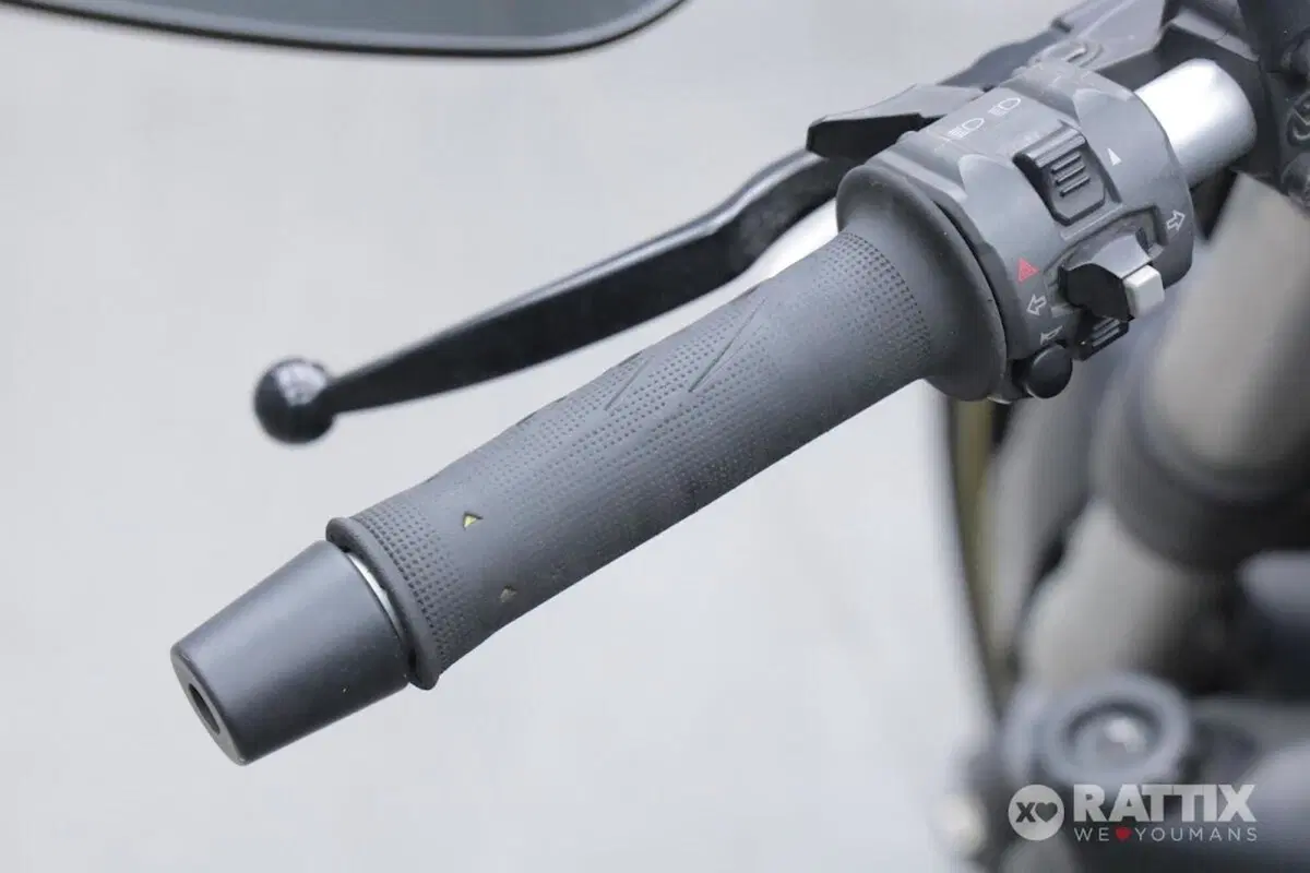 Ducati Monster 821 Dark ABS (2014 - 16) (11)