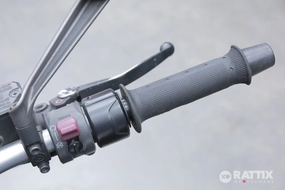 Ducati Monster 821 Dark ABS (2014 - 16) (12)